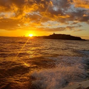 Meet your Posher, Louis